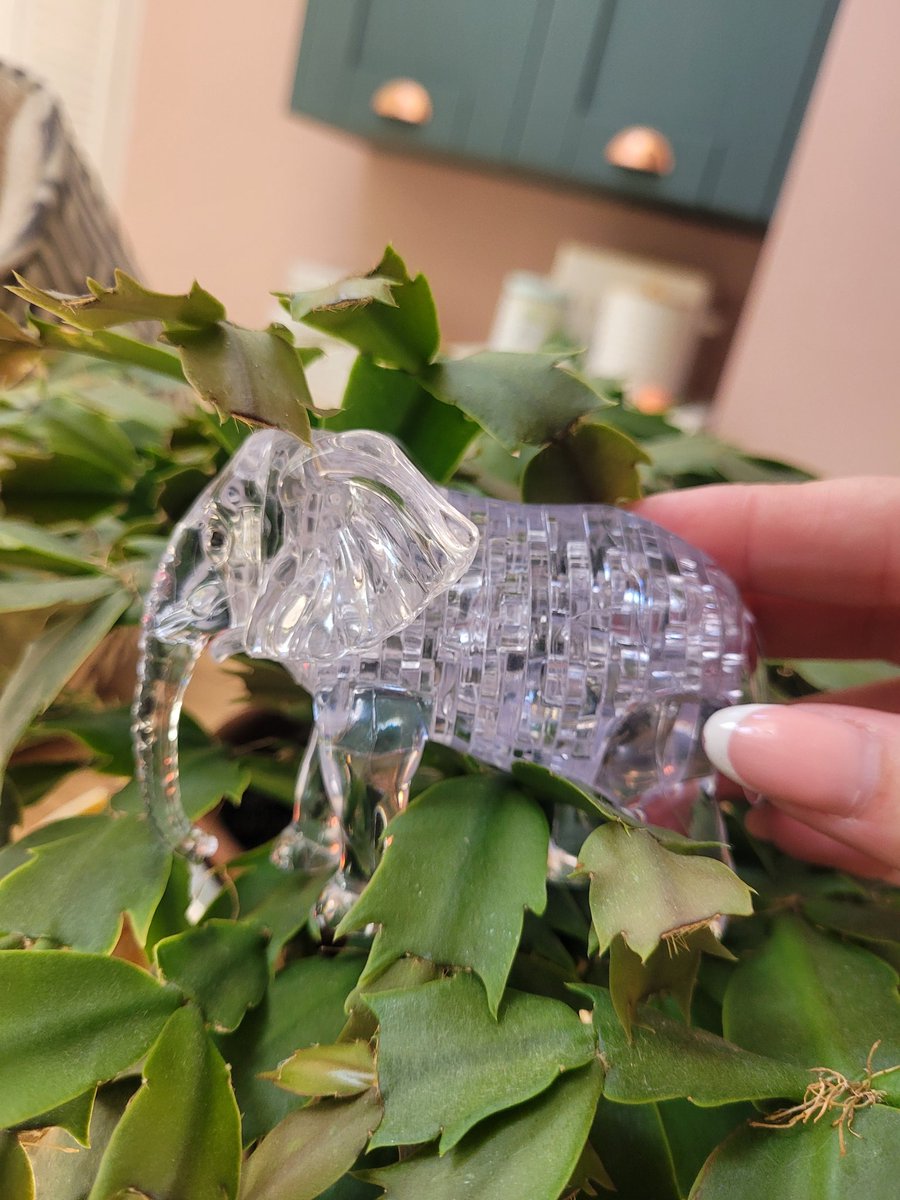 Tabitha Fergus tweet media