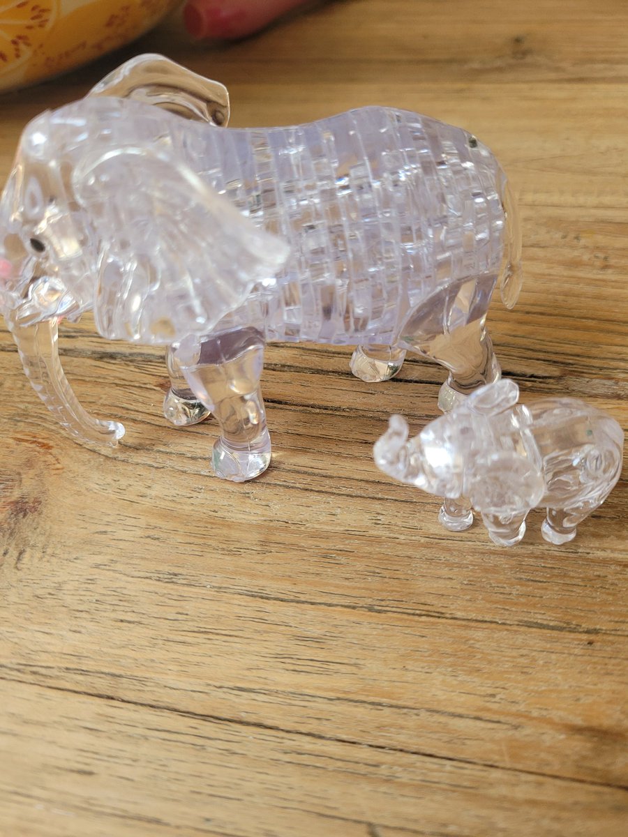 Tabitha Fergus tweet media