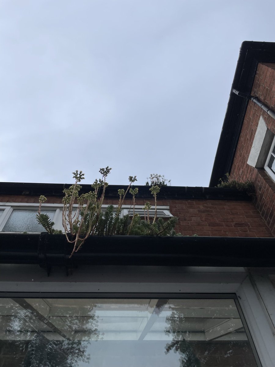 GrapevineMel's tweet photo. @Fiona_Carden @Rships_Project @ColabExeter @JudeHabib Oh and here’s the photo I took on my walk back to the van. It’s open to translation so please feel free to comment. To me it represents growth in unexpected places - that’s what I’m hoping for #RelationshipCentredPractice https://t.co/Jva8ozg2qB