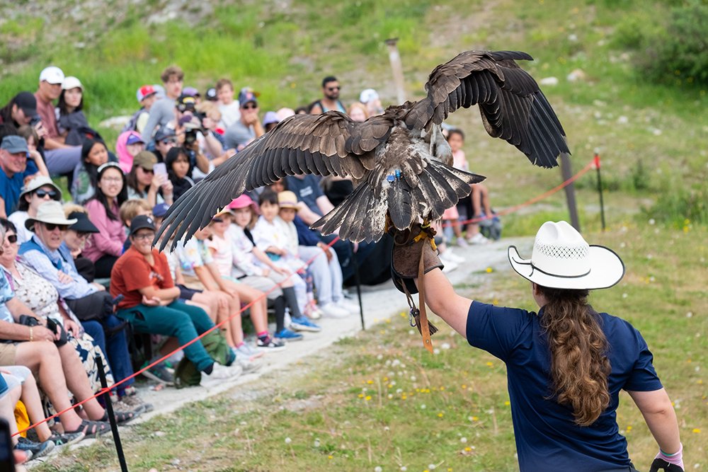 Norsat International tweet media