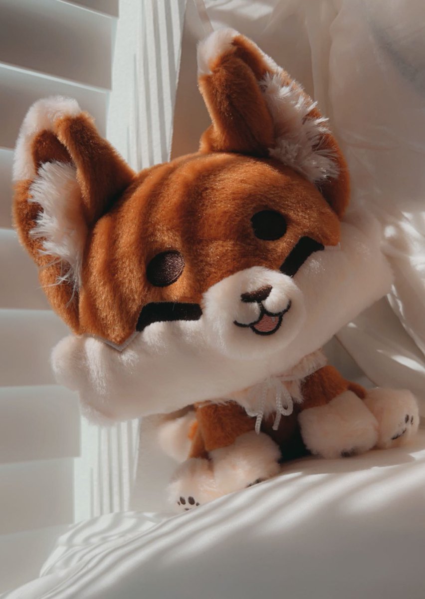 foxplushy's tweet photo. 185 LIL FOXES PREORDERED!! >W<♥︎

Only 7 days left and 92% funded, happiiii hehe https://t.co/V8sNDTRRJw