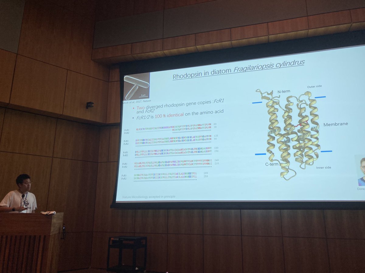Thomas Mock (@th_mock) on Twitter photo Our very own Longji Deng on the role of #rhodopsin in the polar diatom #Fragilariopsis cylindrus at #MLD7 β¦<a href="/MLDiatoms/">Molecular Life of Diatoms</a>β© Our very own Longji Deng on the role of #rhodopsin in the polar diatom #Fragilariopsis cylindrus at #MLD7 β¦<a href="/MLDiatoms/">Molecular Life of Diatoms</a>β©