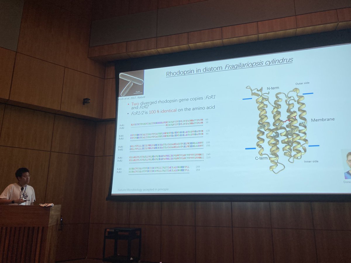 Our very own Longji Deng on the role of #rhodopsin in the polar diatom #Fragilariopsis cylindrus at #MLD7 ⁦@MLDiatoms⁩