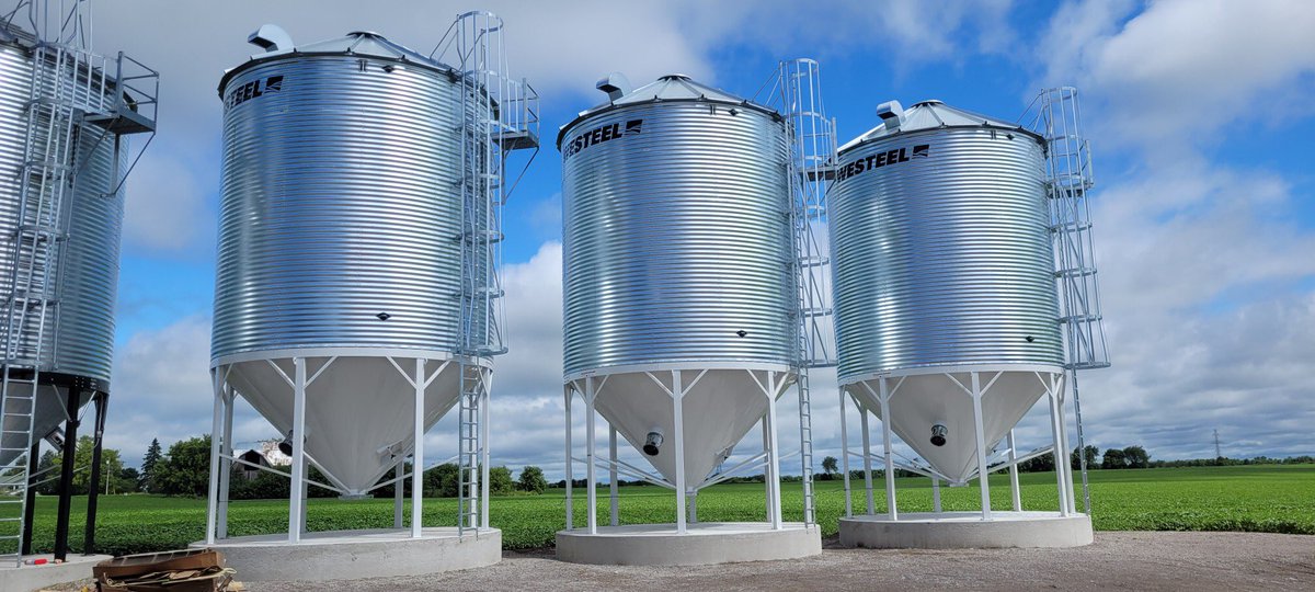 John Ernewein Ltd. tweet media