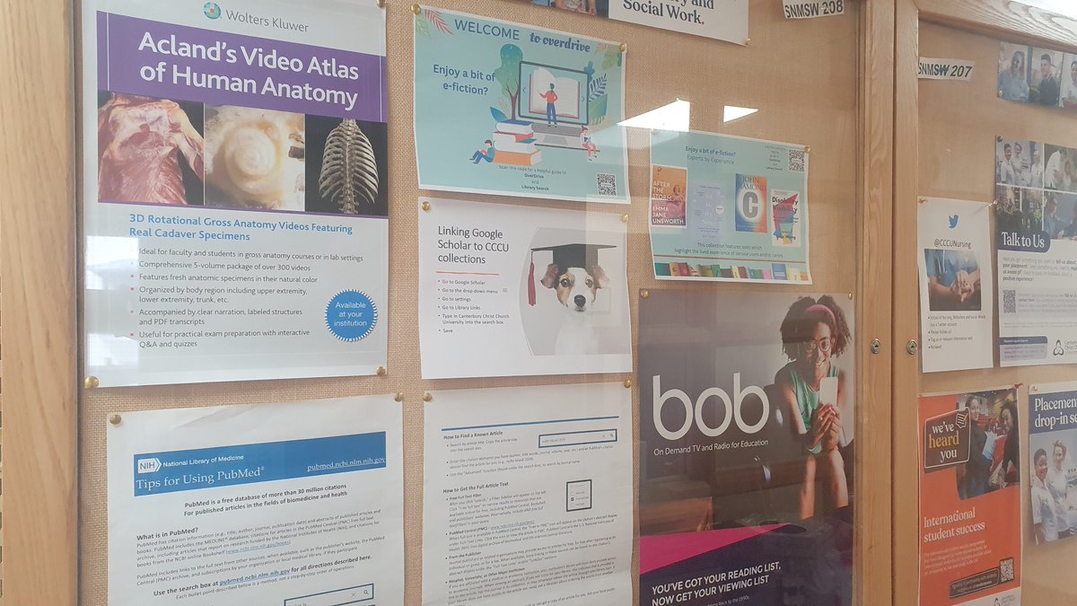 If you go down to the woods today you're sure of a big surprise (or more accurately if you visit the Newton building, you'll see we've been brightening up the noticeboards) @CCCUNursing @cccu_allied @CCCU_PH