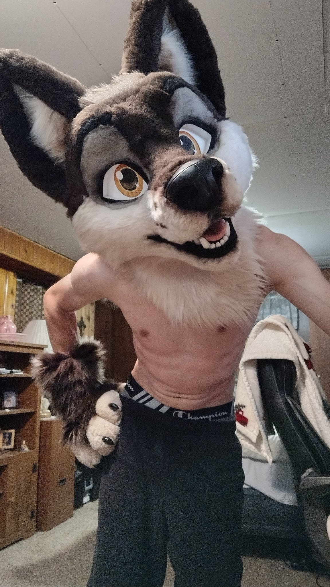 Tazz on Twitter: "Who's this hot wolf on your feed?~ #furry # ...