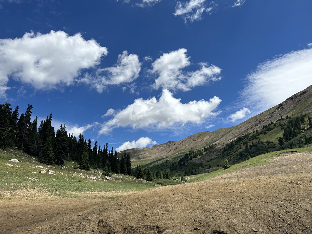 sunbittern's tweet image. mucking around at the great divide