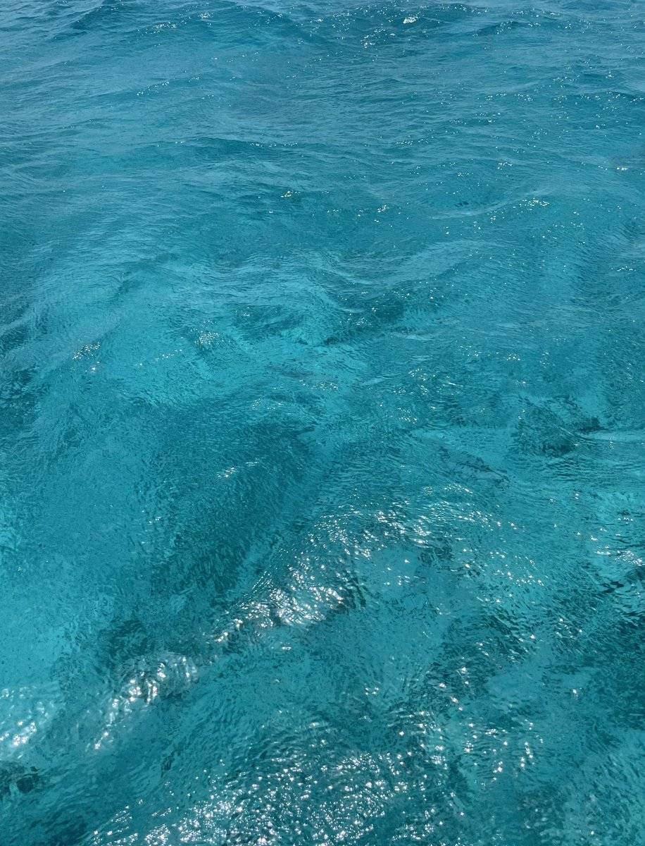 Michelle Taylor tweet media