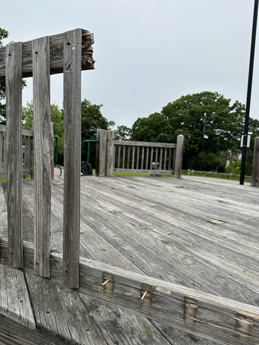 annieshah tweet media