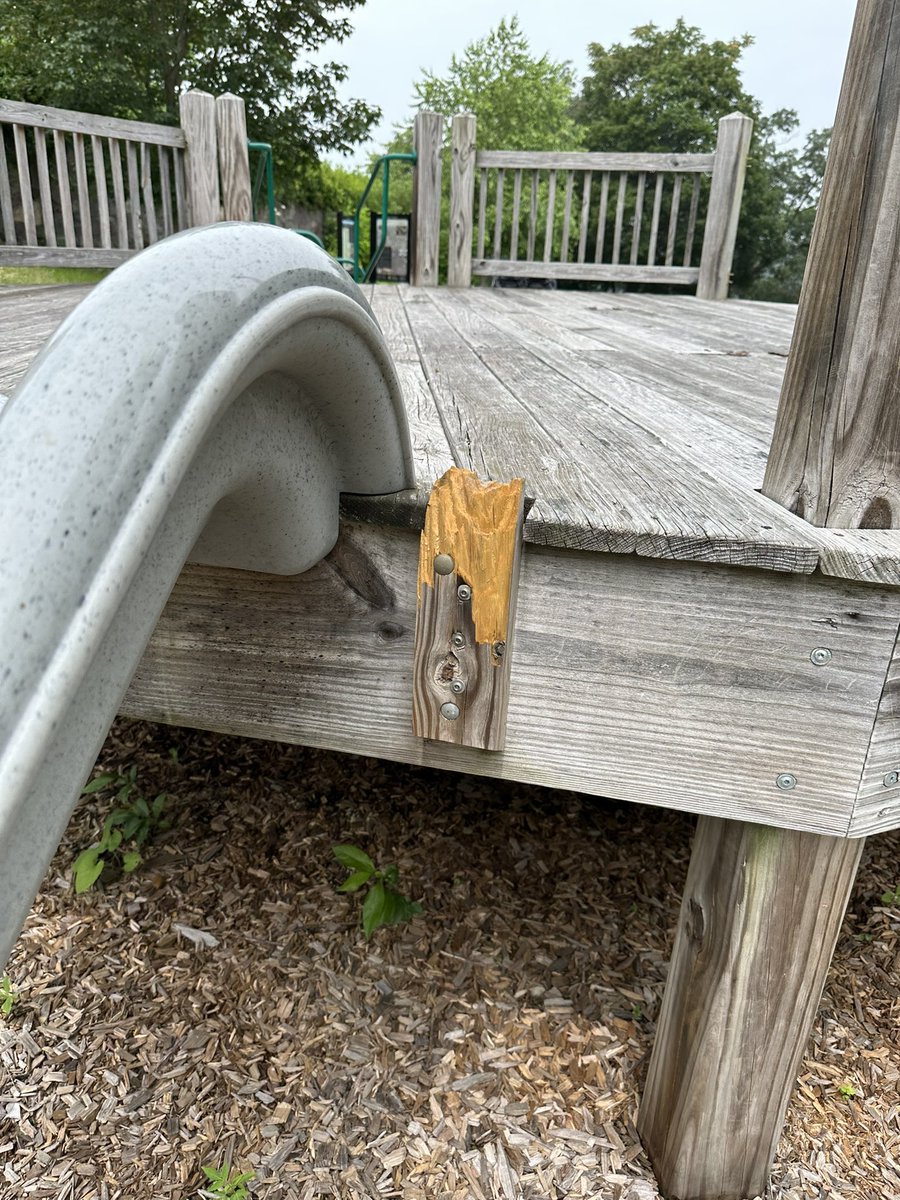 annieshah tweet media