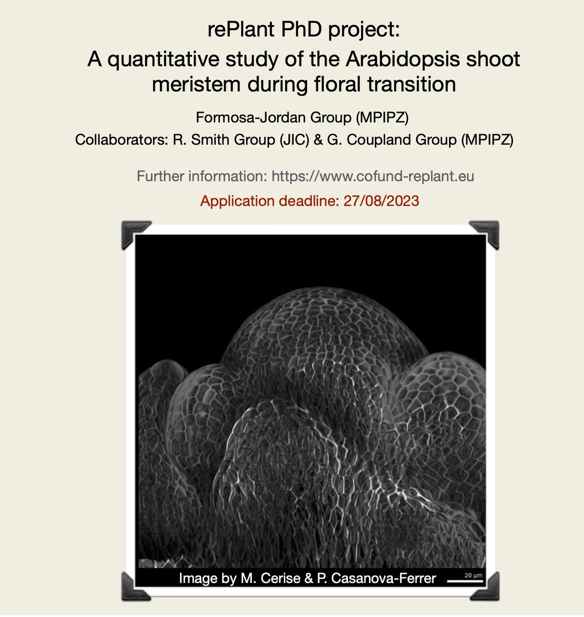 Pau Formosa-Jordan (@pauformosa) on Twitter photo Interested in combining modelling and microscopy to study plant morphogenesis? Apply to our #rePLANT PhD project on the floral transition <a href="/mpipz_cologne/">MPIPZ Cologne</a> in collaboration with the Coupland lab and <a href="/RichardSmithLab/">Richard Smith Lab 🇺🇦</a> <a href="/JohnInnesCentre/">John Innes Centre</a>
Project: cofund-replant.eu/?page_id=444 Interested in combining modelling and microscopy to study plant morphogenesis? Apply to our #rePLANT PhD project on the floral transition <a href="/mpipz_cologne/">MPIPZ Cologne</a> in collaboration with the Coupland lab and <a href="/RichardSmithLab/">Richard Smith Lab 🇺🇦</a> <a href="/JohnInnesCentre/">John Innes Centre</a>
Project: cofund-replant.eu/?page_id=444