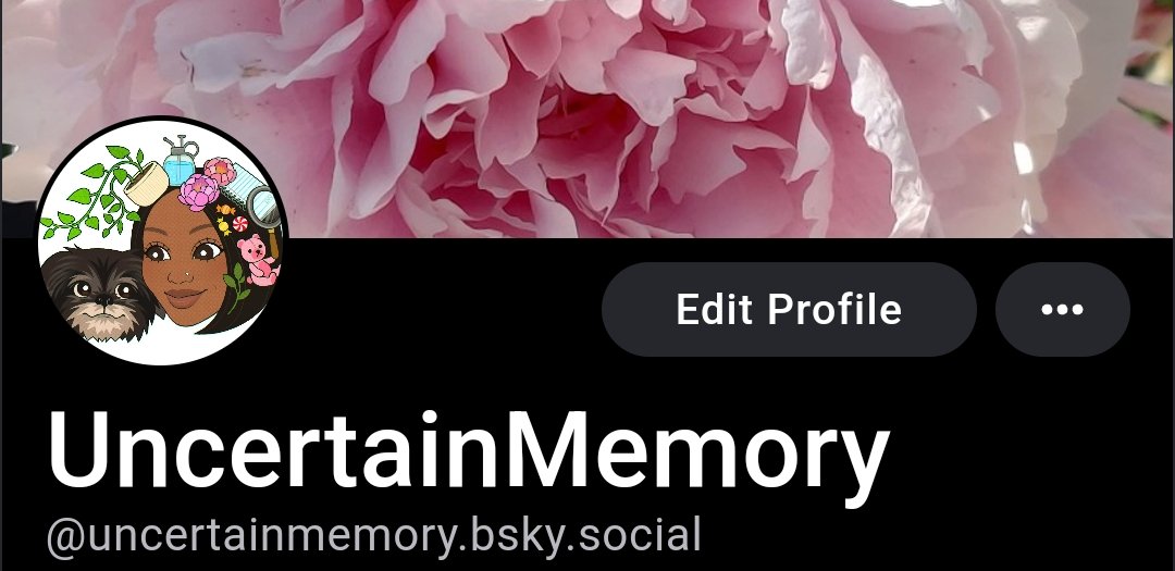 UncertainMem's tweet image. I got a thing so I can continue my sad whimpering into the void