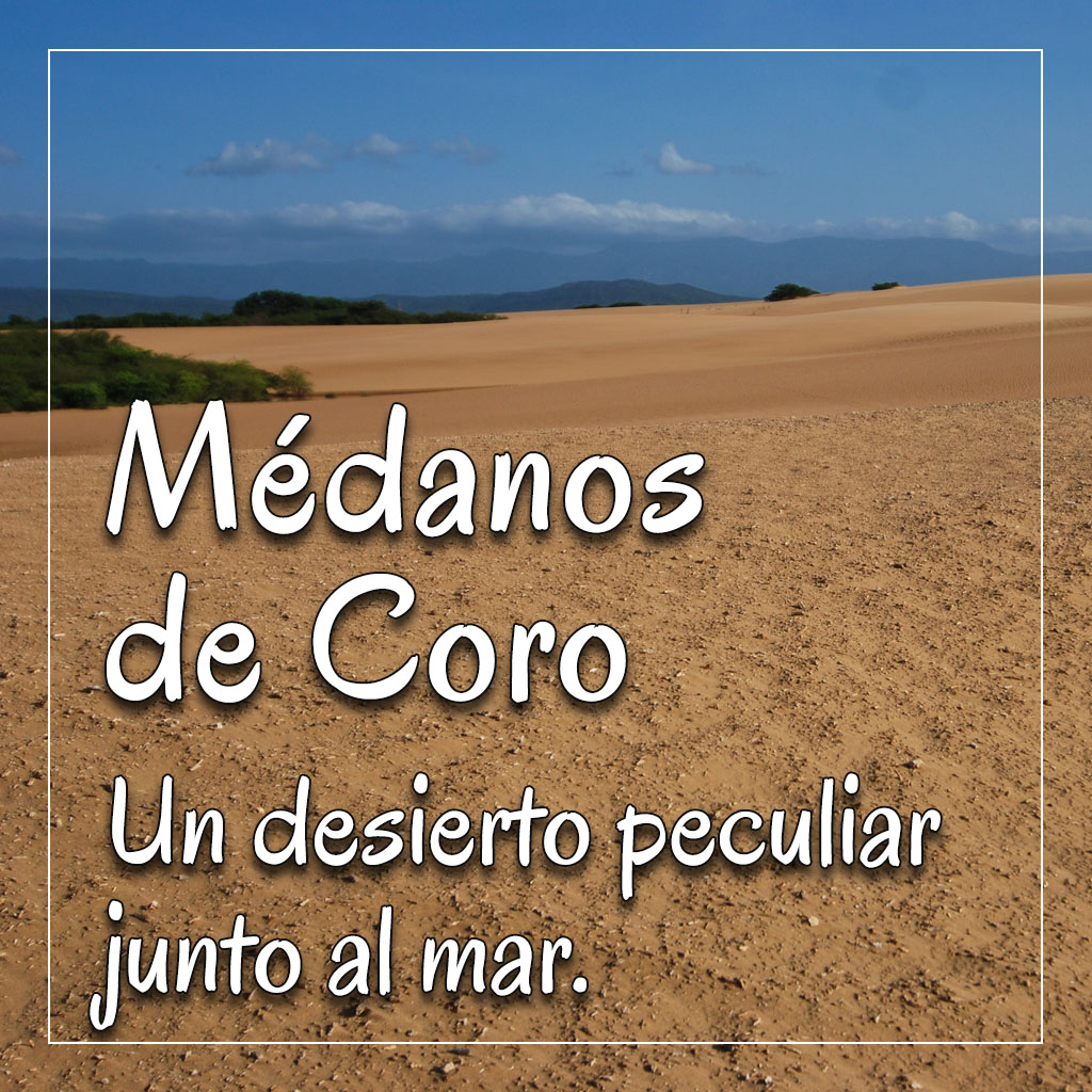 Fundacion Ecodiversa tweet media