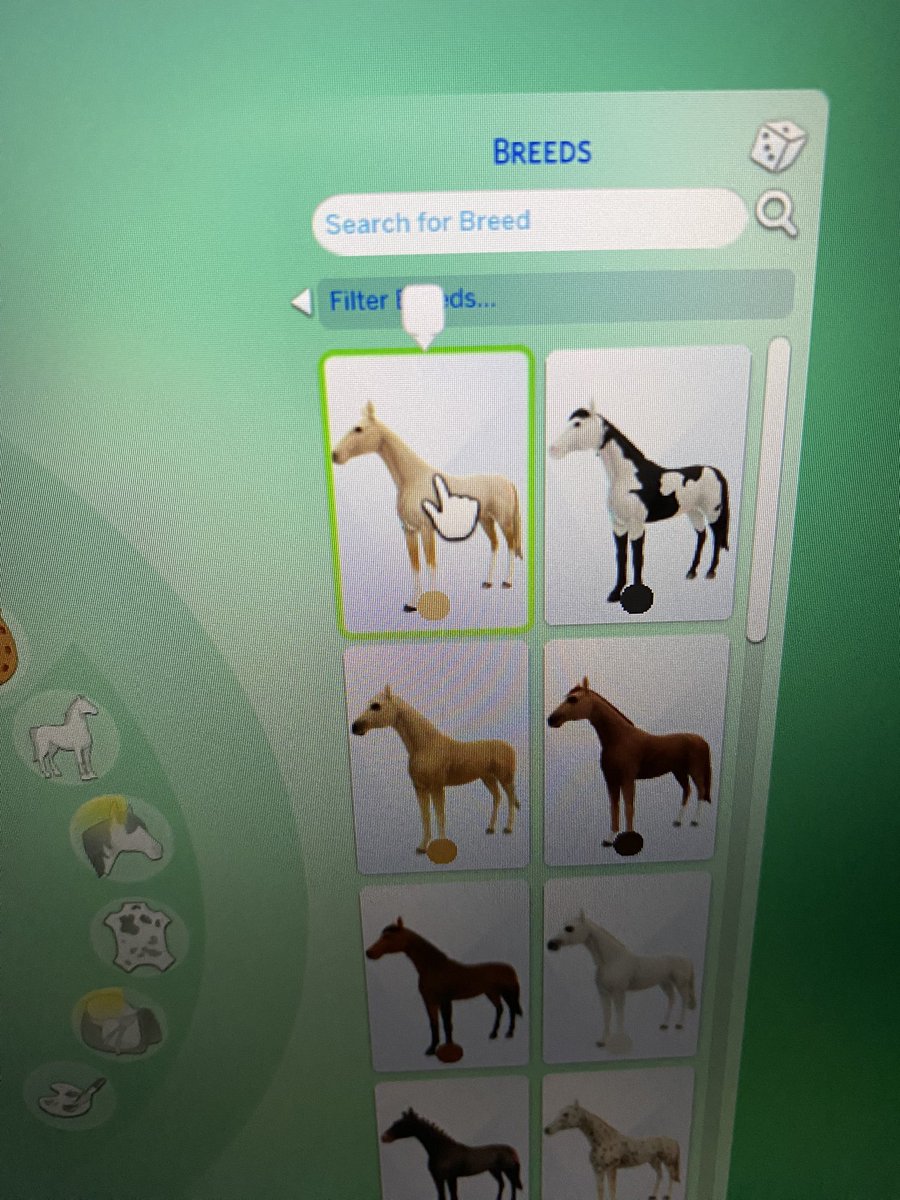 Gabriella MacBeth tweet media