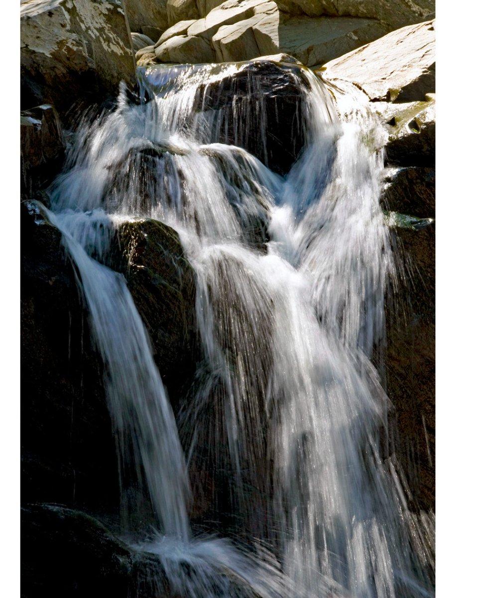 fairfaxparks's tweet photo. Scott's Run Nature Preserve is so beautiful and so fragile. Please protect it. https://t.co/SDpkLVcoQg
#naturepreserves #nature #scottsrun #scottsrunnaturepreserve #fairfaxparks #fairfaxcounty #nature #water #waterfalls #weareparksandrec https://t.co/iWs3UvSRXD