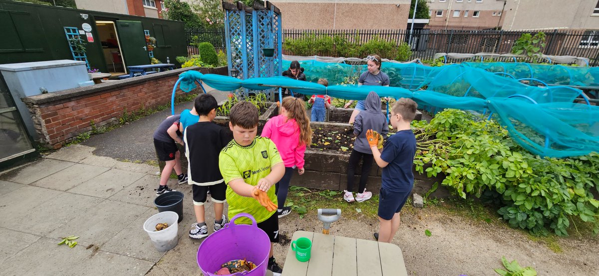 shettlestongrow's tweet image. Wow...the weather was certainly changeable today....Sunshine one minute, torrential rain the next....Still, it didn't stop @ClubWelly  harvesting some of there potato crops and finding and rehoming a bright green caterpillar...A huge thanks to @glasgow #HoFoP