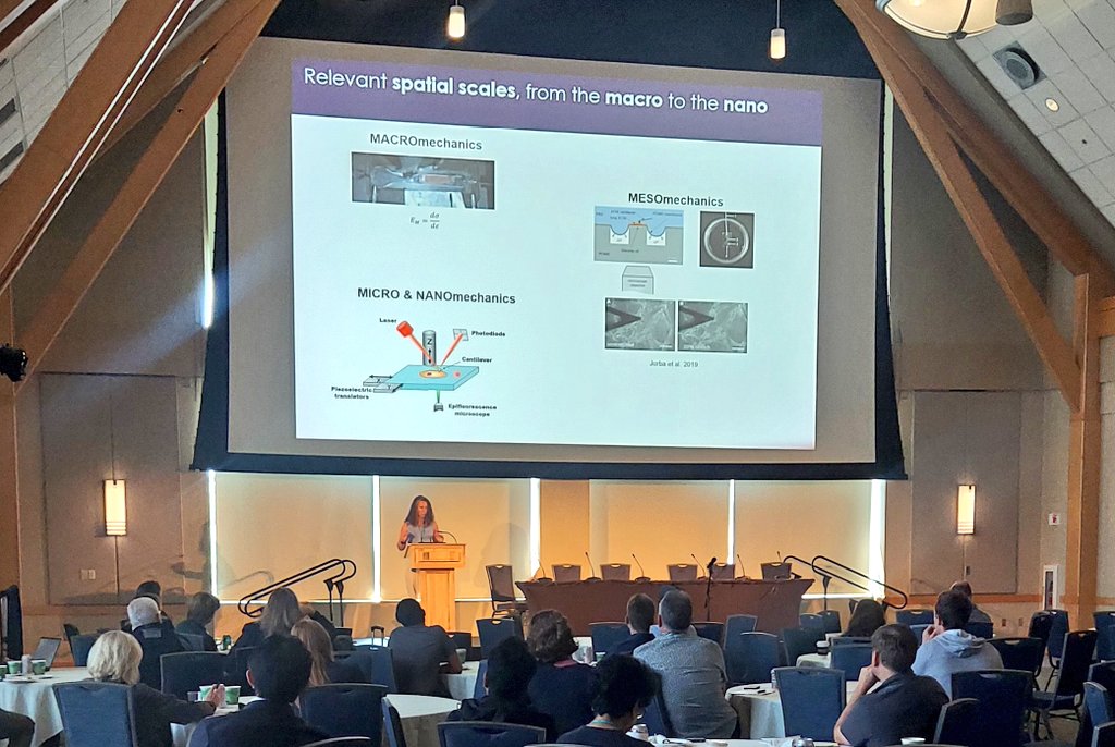 RyanLab (@ryanlabuiowa) on Twitter photo Application of physics -learning how ECM composition and organization relate to mechanical alterations in lung disease. Great talk by <a href="/ngavara/">Núria Gavara</a> <a href="/UniBarcelona/">Universitat de Barcelona</a> #VTStemcell2023 Application of physics -learning how ECM composition and organization relate to mechanical alterations in lung disease. Great talk by <a href="/ngavara/">Núria Gavara</a> <a href="/UniBarcelona/">Universitat de Barcelona</a> #VTStemcell2023