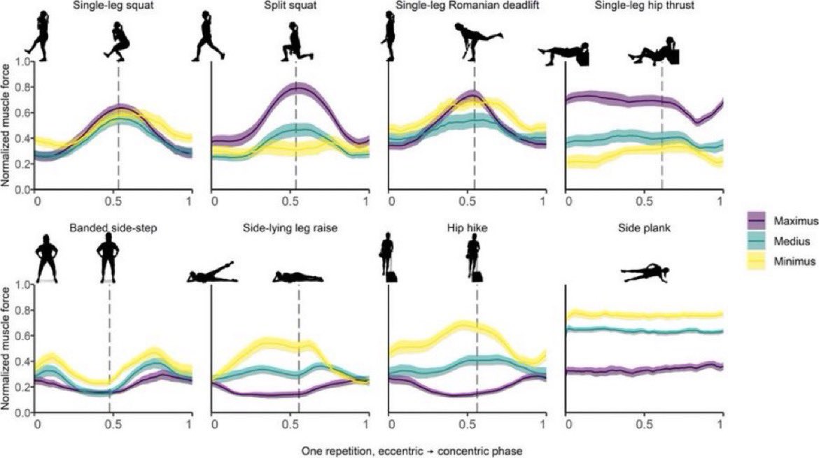 🍑🍑🍑MEJORES EJERCICIOS PARA GLÚTEO SEGÚN LA CIENCIA

🍑Glúteo mayor: Zancadas, peso muerto rumano unilateral y hip-thrust unilateral

🍑Glúteo medio: plancha lateral , sentadilla unilateral y hip-thrust unilateral

🍑Glúteo menor: plancha lateral y peso muerto rumano unilateral