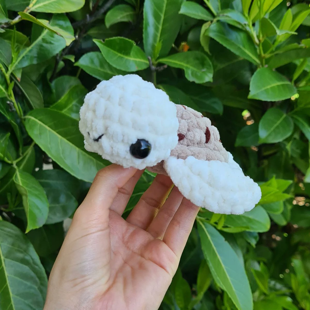 FernandezAuror7's tweet photo. ✨️CONCOURS ✨️

Nous sommes plus de 600, merci beaucoup 🥰❤️

Pour cette occasion, j'organise un concours pour vous faire gagner une petite tortue de mer de votre choix 😊

Pour participer :
🐢 être abonné 
🐢 liker et RT
🐢 inviter un ami

TAS ce dimanche 23 juillet à 20h https://t.co/KLgF2dgJL9