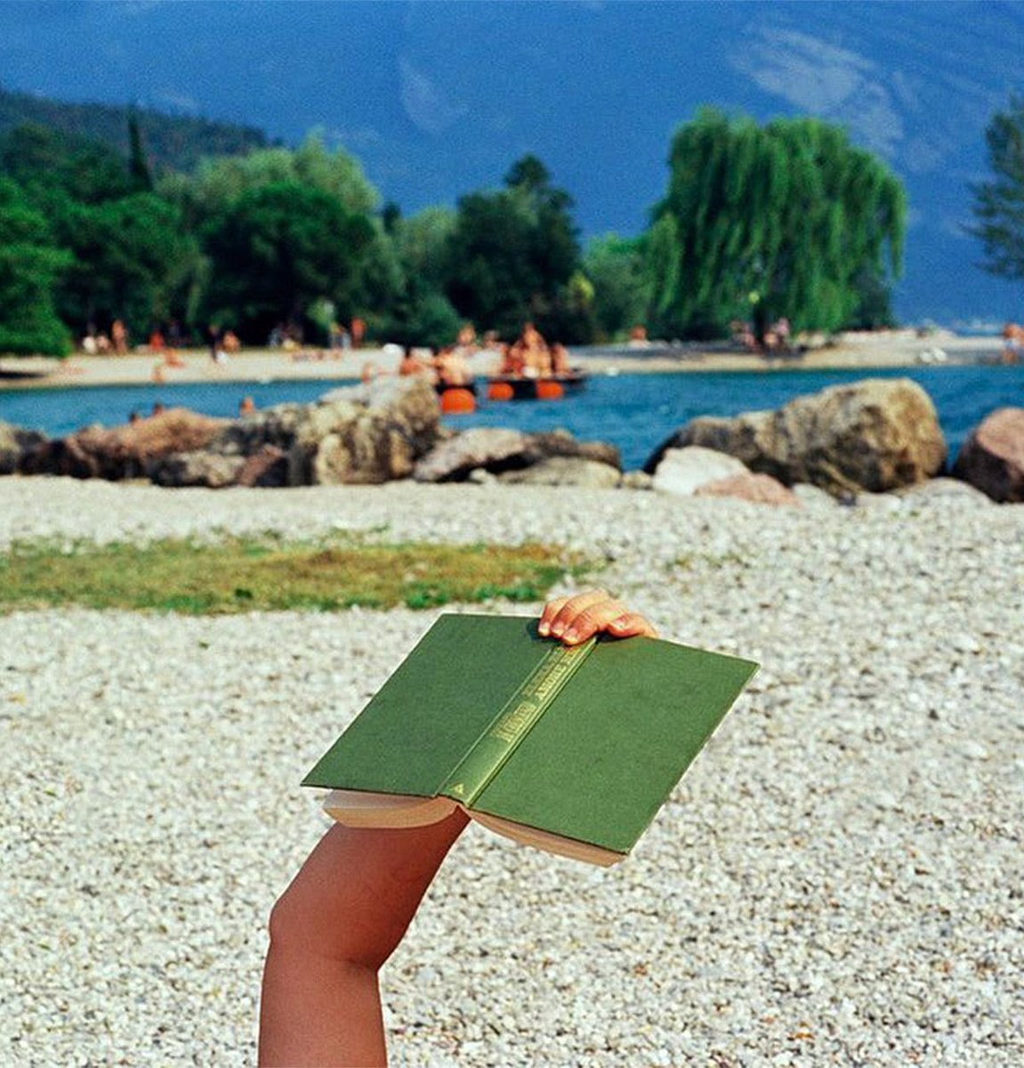 PALM REPORT ☼ tweet media