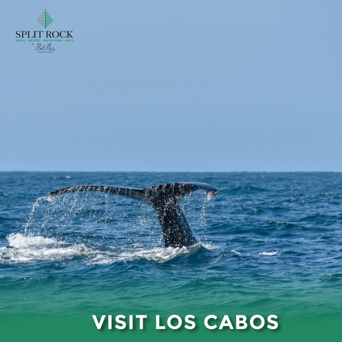 Split Rock Owners Circle tweet media