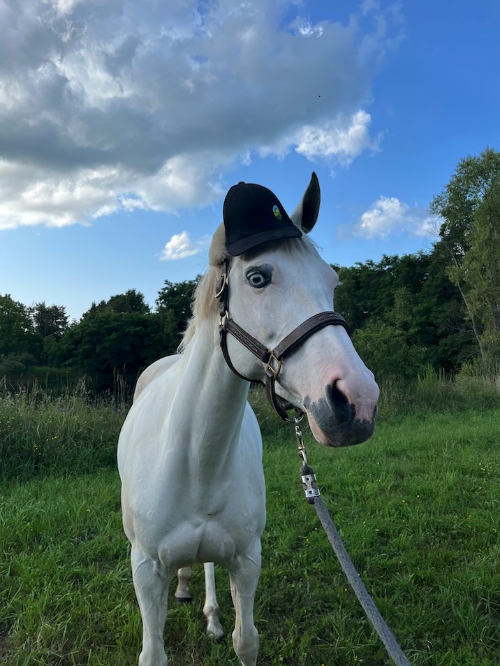 Greenman Acres tweet media