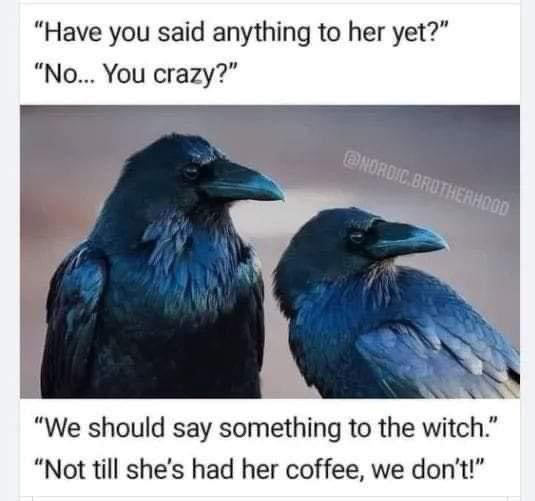 That Witch Life Podcast tweet media