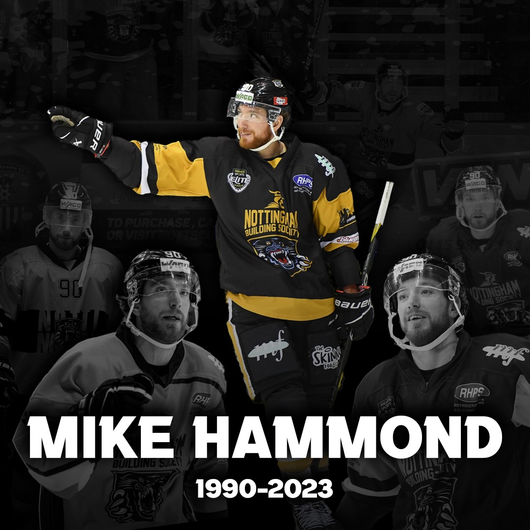 🖤 We'll never forget you Hammy 💛