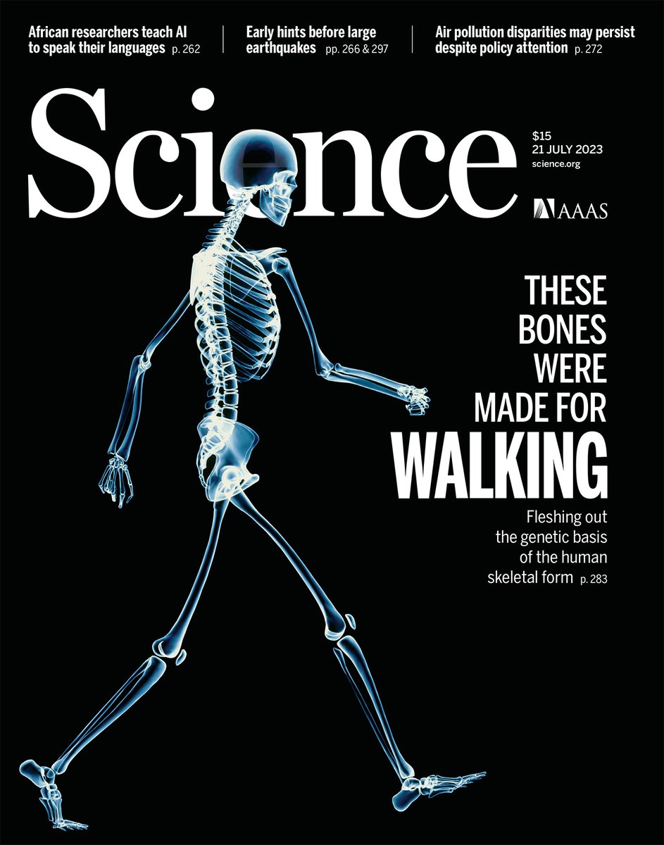 By combining data from full-body x-ray images and associated genomic data from more than 30,000 UK Biobank participants, researchers have provided new insights into the evolution of the human skeletal form.

Learn more this week in Science: scim.ag/3qw