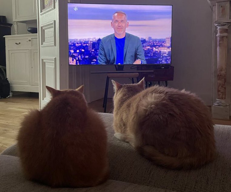 Xavier Taveirne tweet media