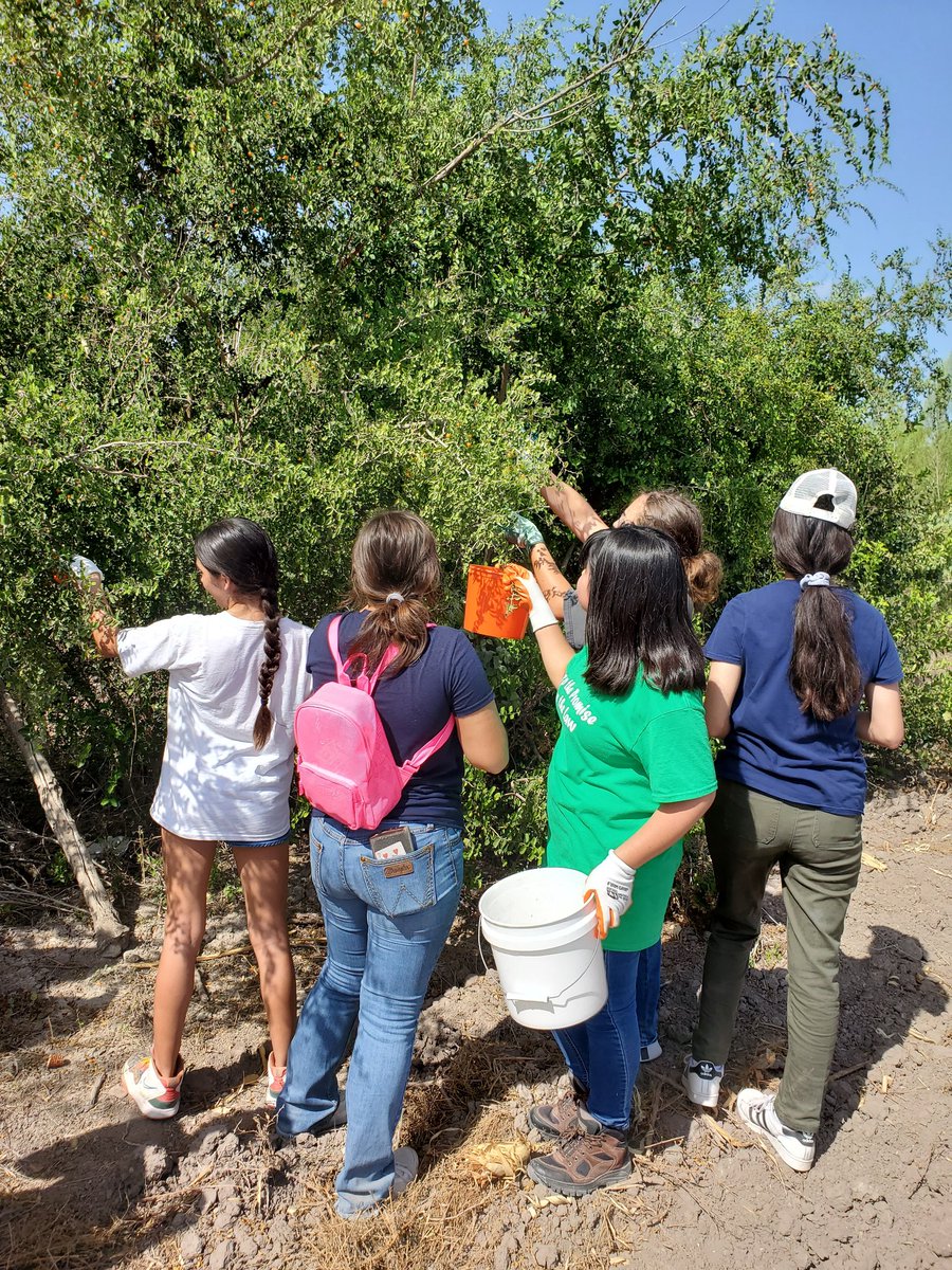 Gcell_garza's tweet photo. In order to be successful, conservation must be a collaborative practice between members of local communities, local partners, and nature! #comunidadYfamilia #latinoconservationweek2023  @AmericanForests @LCW_National https://t.co/uYL9KUK5vB