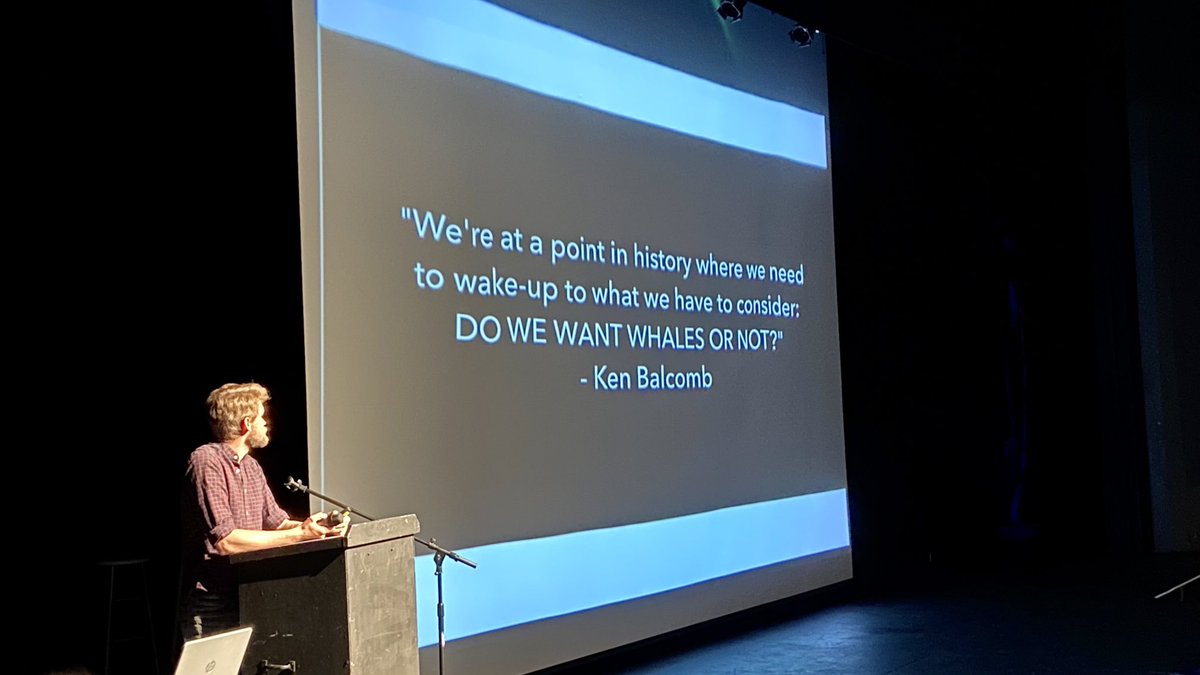 Voice of the Orcas tweet media
