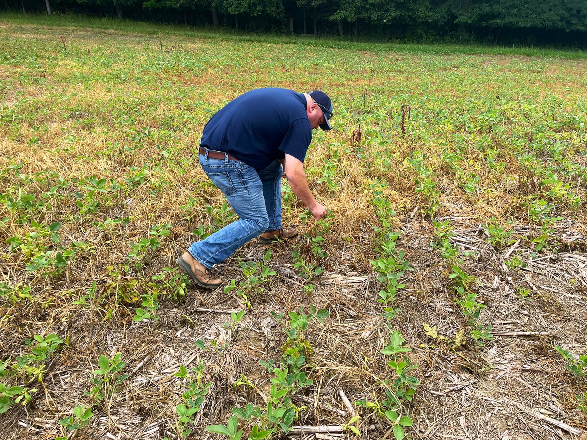 🇺🇸Corey Stevens🌽 tweet media