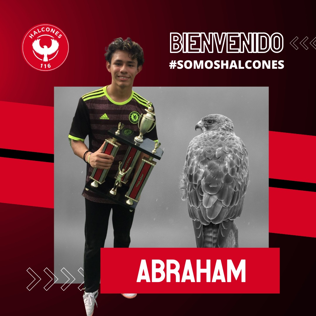 Halcones 116 F.C tweet media