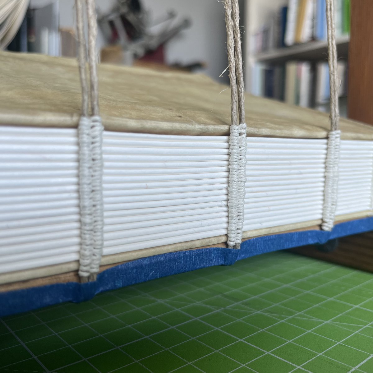More spine love today. This time, packed medieval sewing.
.
.
.
#isleofiona #madeoniona #scottishcraft #iona #madeinthehebrides #bookbinding #heritagebook #traditionalbook #wipbook #traditionalbookbinding #bookbindingprocess #historicbooks #medievalbook