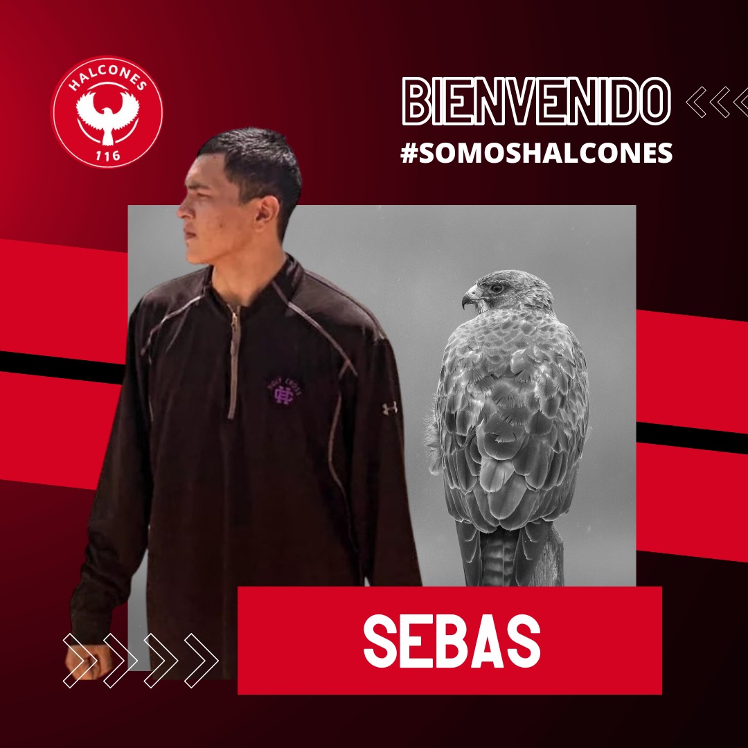 Halcones 116 F.C tweet media