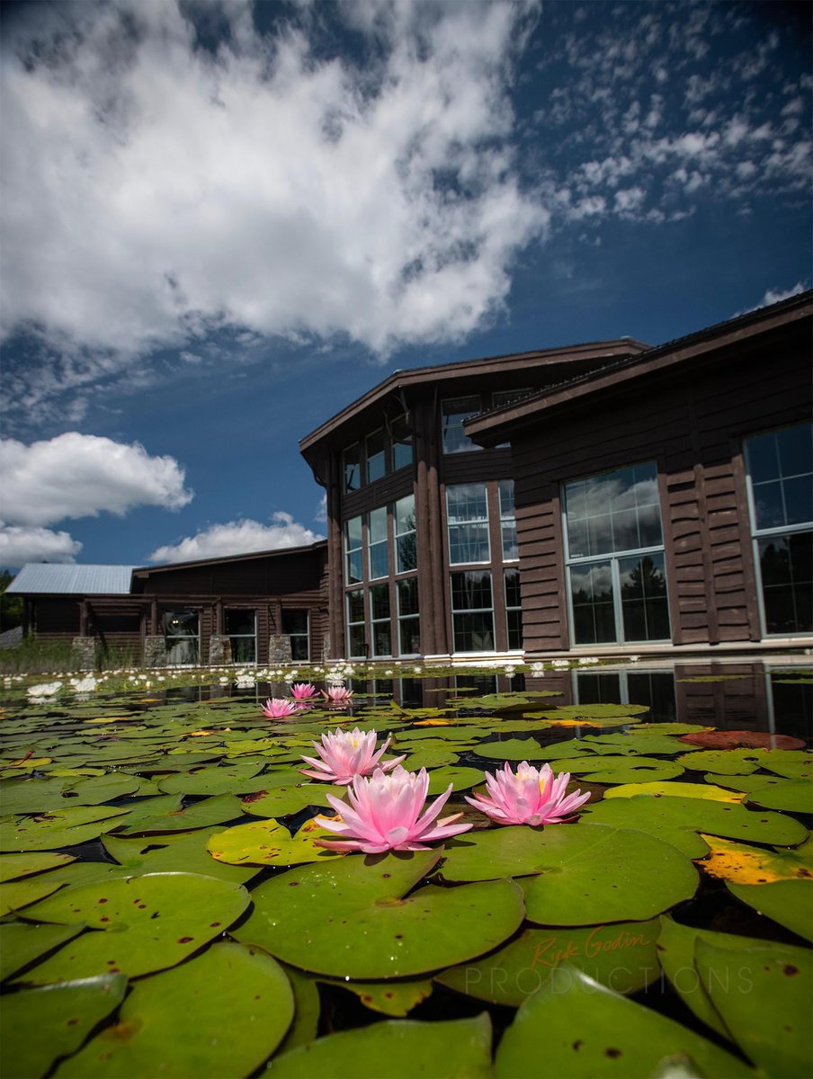 Rick Godin tweet media