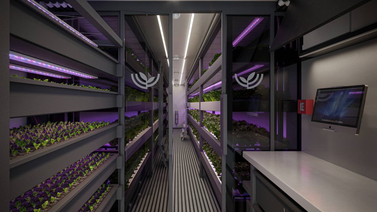 Did you know how Plantainer looks inside? Get explore one of our systems for vertical farming. Check it: hydro-polis.com/en/plantainer/ 
 
#indoorfarming #containerfarming