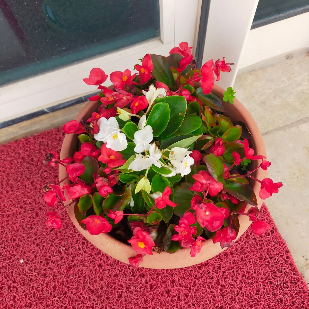 İbrahim TOKGÖZ (@ibrahimtokgoz21) on Twitter photo 