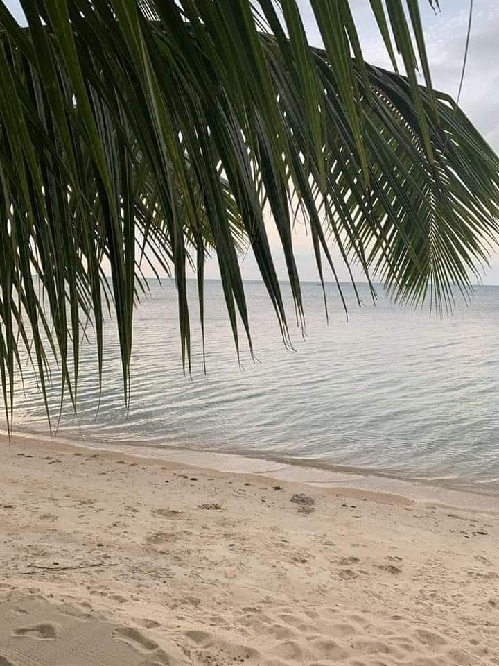 feelsinposts's tweet photo. we all deserve a beach break https://t.co/0x0V7Q3Ir5
