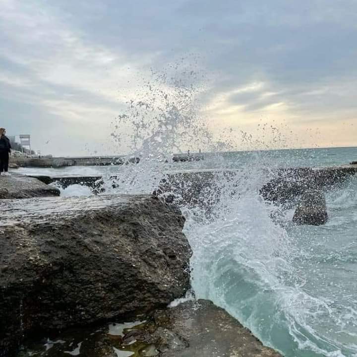 feelsinposts's tweet photo. we all deserve a beach break https://t.co/0x0V7Q3Ir5