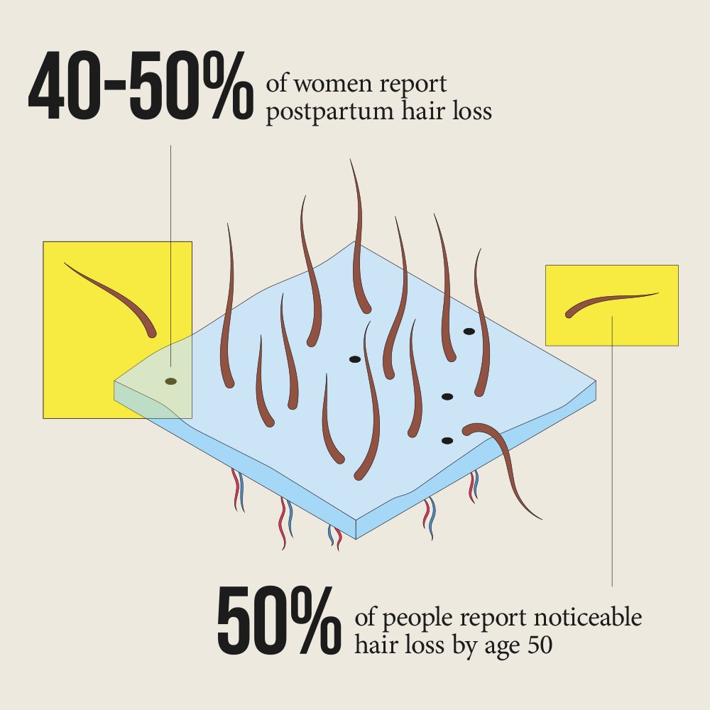 Get an in-depth look at how hair grows and learn to prevent hair loss with our latest Quick Read, Root Awakening: The Science of Healthy Hair. Now on Imprint. imprintapp.onelink.me/H4lb/4n9v361w