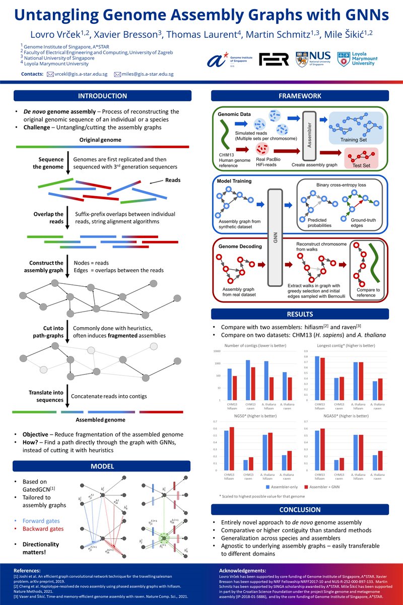 Lovro Vrček (@lovrovrcek) on Twitter photo I will be at #ICML2023 from Tuesday to Saturday and will be presenting our *latest* GNNome Assembly improvements and results at <a href="/icml_compbio/">ICML-Compbio-Workshop</a> workshop. A lot has happened since the last year, so make sure to stop by. Or let me know if you just want to chat about AI in genomics! I will be at #ICML2023 from Tuesday to Saturday and will be presenting our *latest* GNNome Assembly improvements and results at <a href="/icml_compbio/">ICML-Compbio-Workshop</a> workshop. A lot has happened since the last year, so make sure to stop by. Or let me know if you just want to chat about AI in genomics!