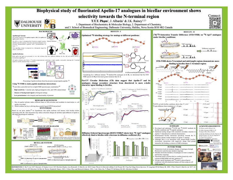 I design 19F-probe and apply #19FNMR techniques in bicelles to characterize #GPCR's ligand peptide interaction with membrane mimetics. So far, I identify the interaction region, carry #MolecularDynamics simulations and #WesternBlot to check for functionality. #GlobalnmrTC2023