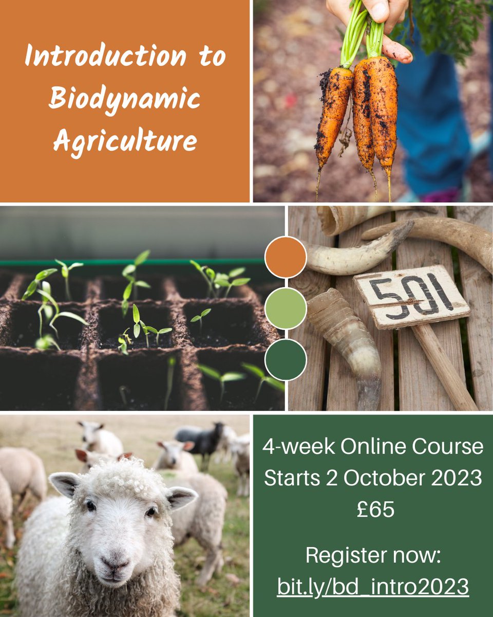 What to learn how food can be produced in a way that regenerates the soils and nourishes the people who eat it? Our popular introduction to biodynamics 4-week online course is back starting 2 Oct. Learn more and register: bit.ly/bd_intro2023
 #biodynamicfarm #biodynamic