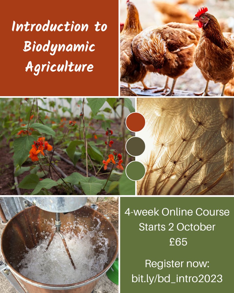 Curious about biodyanmics? We'll take you through all the principles and practices in our popular introduction to biodynamics 4-week online course. Back this autumn starting 2 October, limited spaces available. Learn more and register: bit.ly/bd_intro2023
