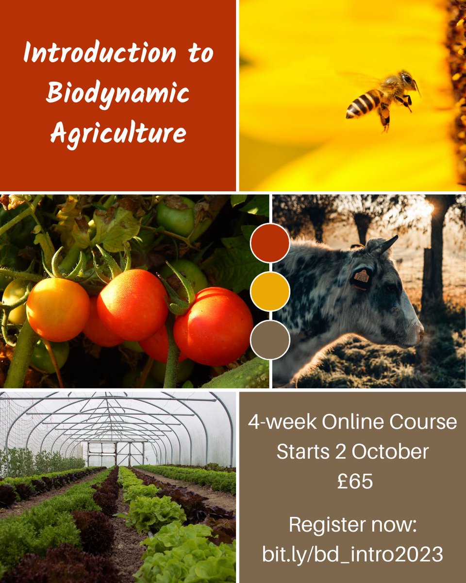 Want to bring more vitality into your garden? Learn how biodynamics could help. Our popular Introduction to biodynamics 4-week online course is back this autumn starting 2 October, limited spaces available. Learn more and register: bit.ly/bd_intro2023