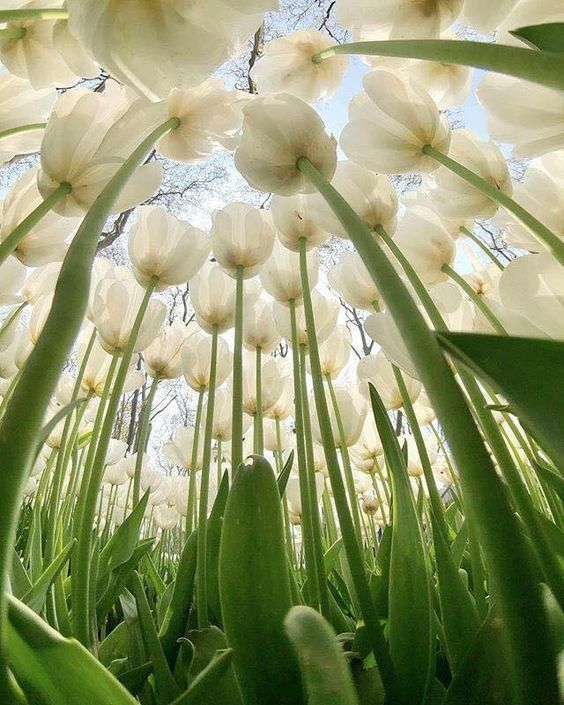 artindetails's tweet photo. pov: you're a fairy https://t.co/Rwys7nw9rs