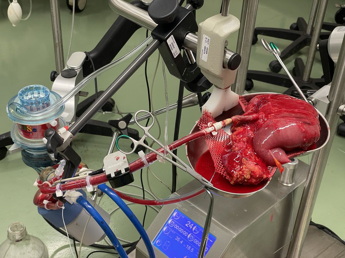 Julien Branchereau,MD,PhD tweet media