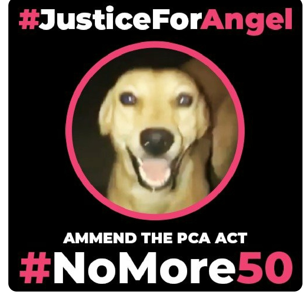 LiveByInstinct's tweet photo. John Abraham #NoMore50 #JusticeforAngel https://t.co/fypPk1e2F9